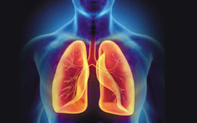 Was passiert mit unserer Lunge?