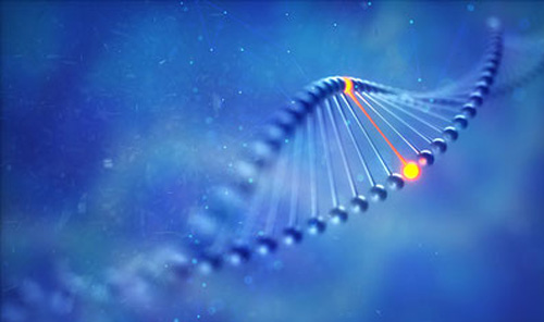 DNA-Stränge in Vollkommenheit bringen nach Natara®
