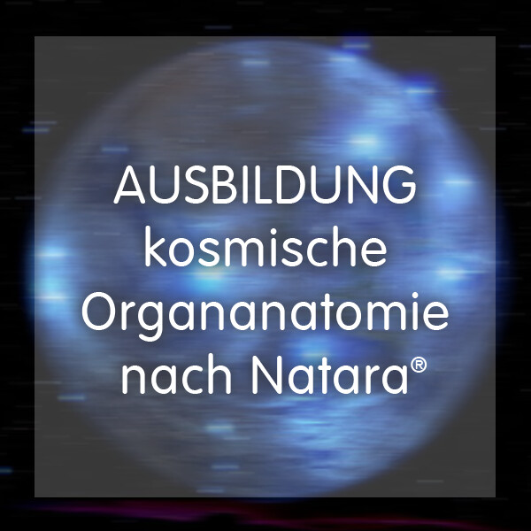 Ausbildung kosmische Organanatomie